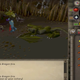 Image via RuneScape